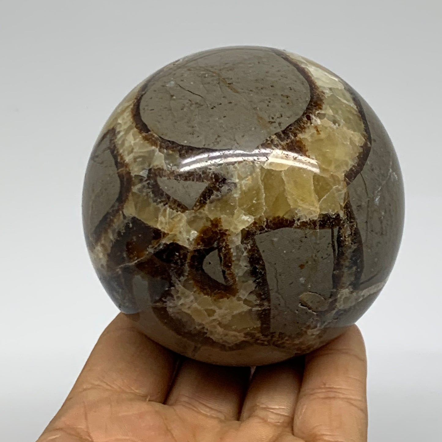 1.28 lbs, 3" (74mm), Natural Septarian Sphere Crystal Gemstone Ball, B37931