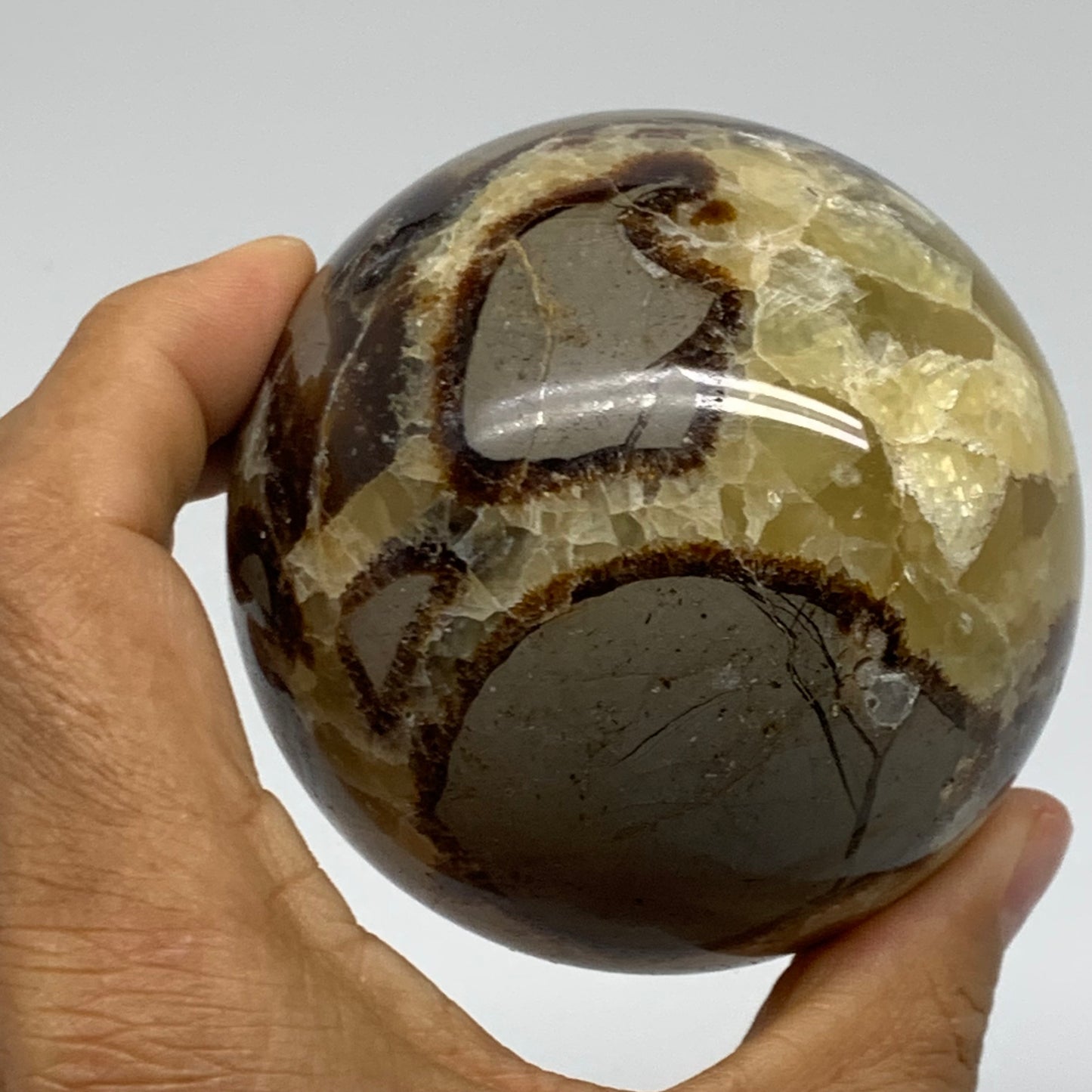 1.28 lbs, 3" (74mm), Natural Septarian Sphere Crystal Gemstone Ball, B37931