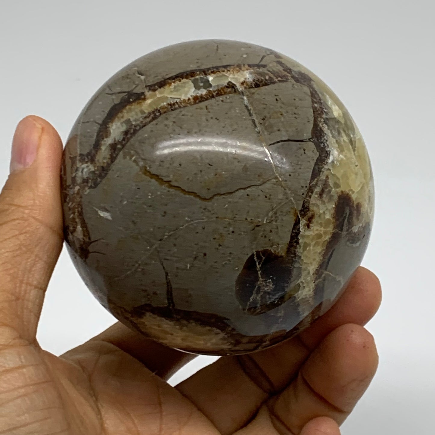 1.28 lbs, 3" (74mm), Natural Septarian Sphere Crystal Gemstone Ball, B37931