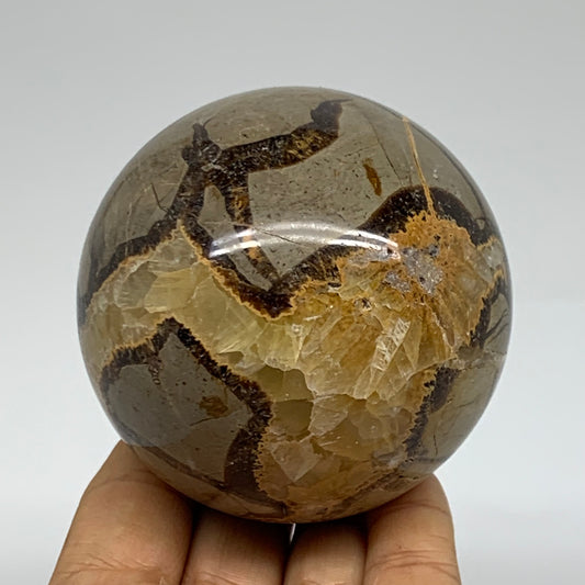 1.26 lbs, 2.9" (74mm), Natural Septarian Sphere Crystal Gemstone Ball, B37932