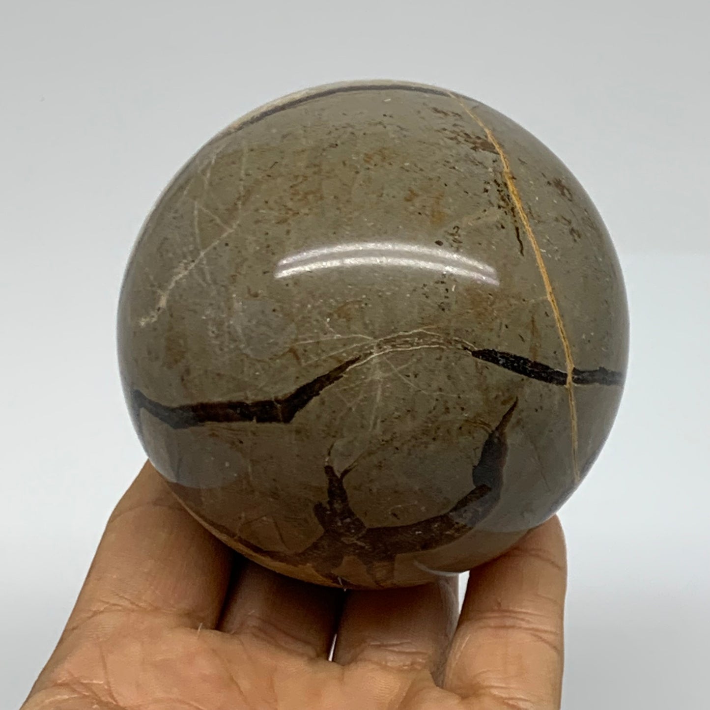 1.26 lbs, 2.9" (74mm), Natural Septarian Sphere Crystal Gemstone Ball, B37932
