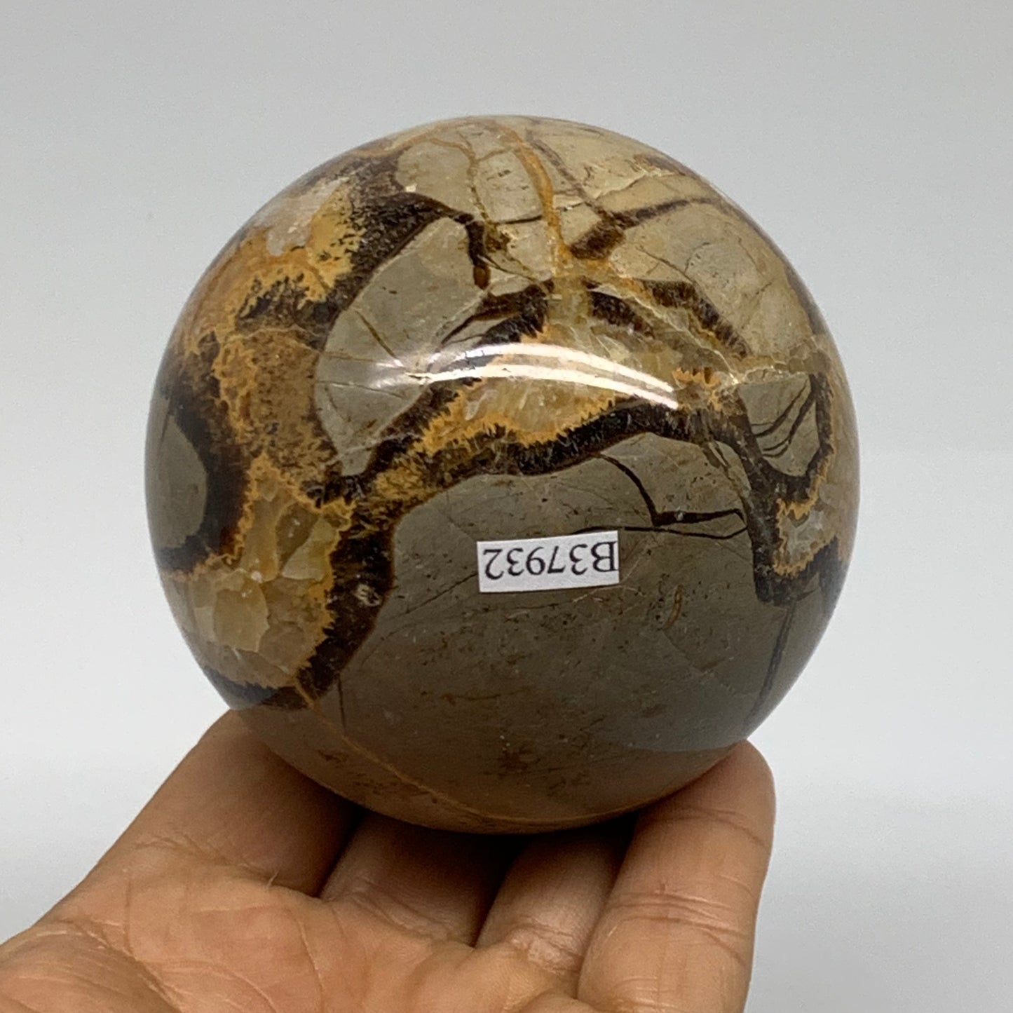 1.26 lbs, 2.9" (74mm), Natural Septarian Sphere Crystal Gemstone Ball, B37932