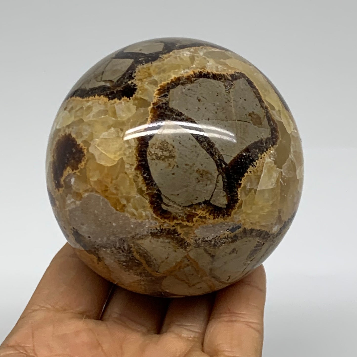 1.26 lbs, 2.9" (74mm), Natural Septarian Sphere Crystal Gemstone Ball, B37932