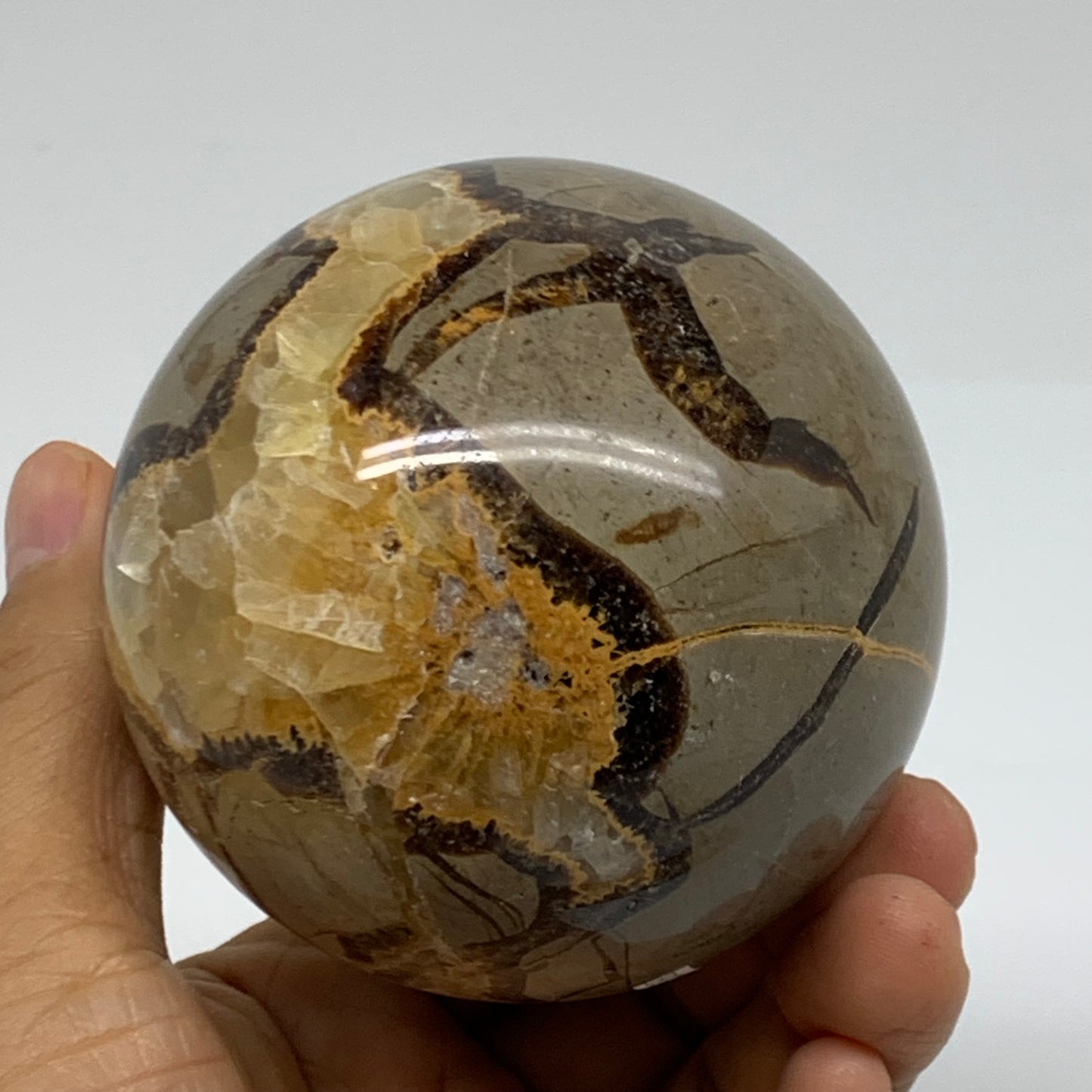 1.26 lbs, 2.9" (74mm), Natural Septarian Sphere Crystal Gemstone Ball, B37932