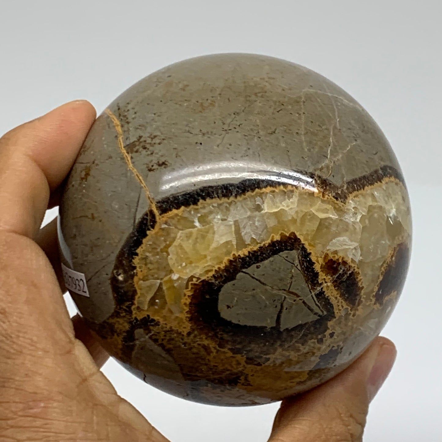 1.26 lbs, 2.9" (74mm), Natural Septarian Sphere Crystal Gemstone Ball, B37932