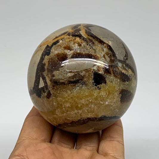1.16 lbs, 2.9" (72mm), Natural Septarian Sphere Crystal Gemstone Ball, B37933
