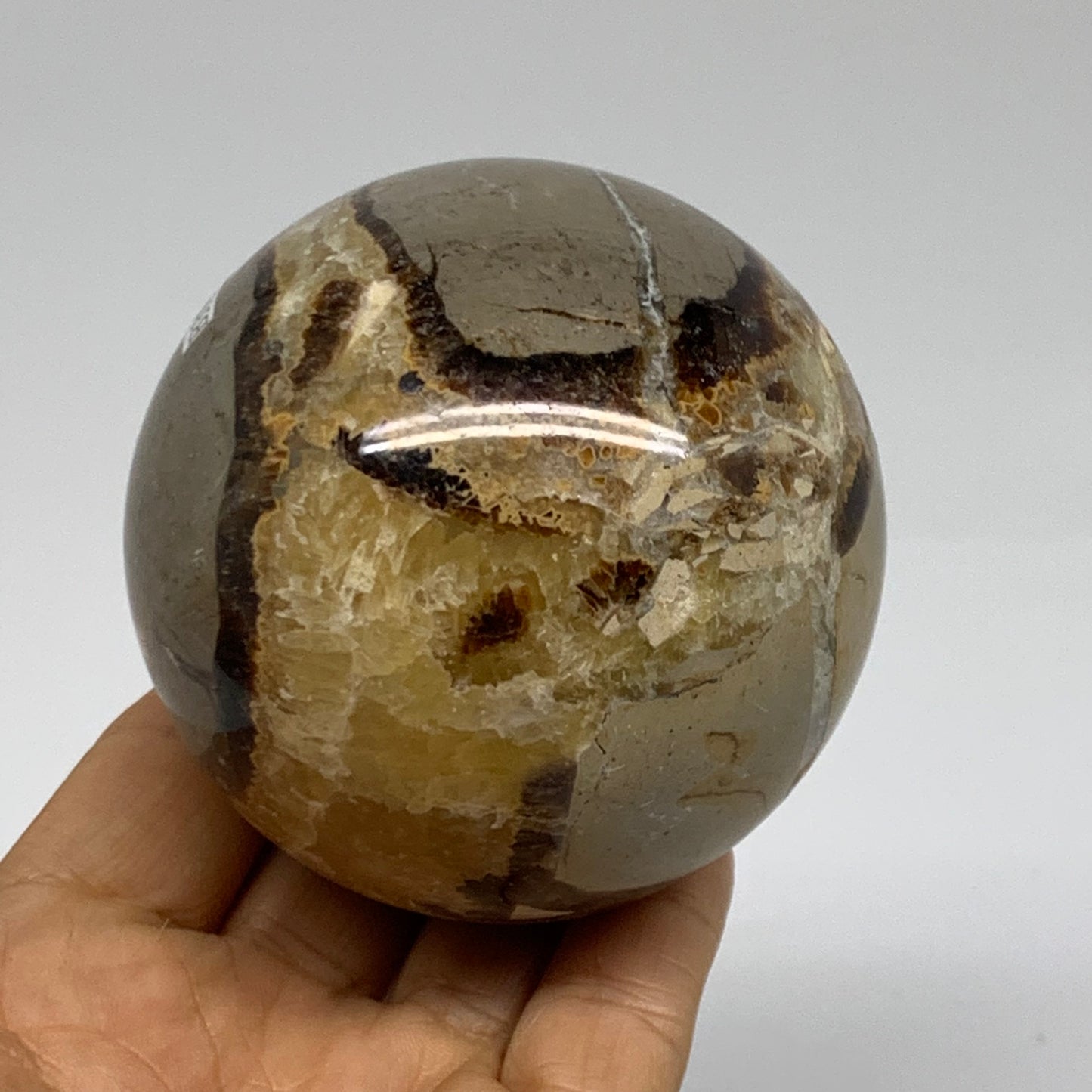 1.16 lbs, 2.9" (72mm), Natural Septarian Sphere Crystal Gemstone Ball, B37933