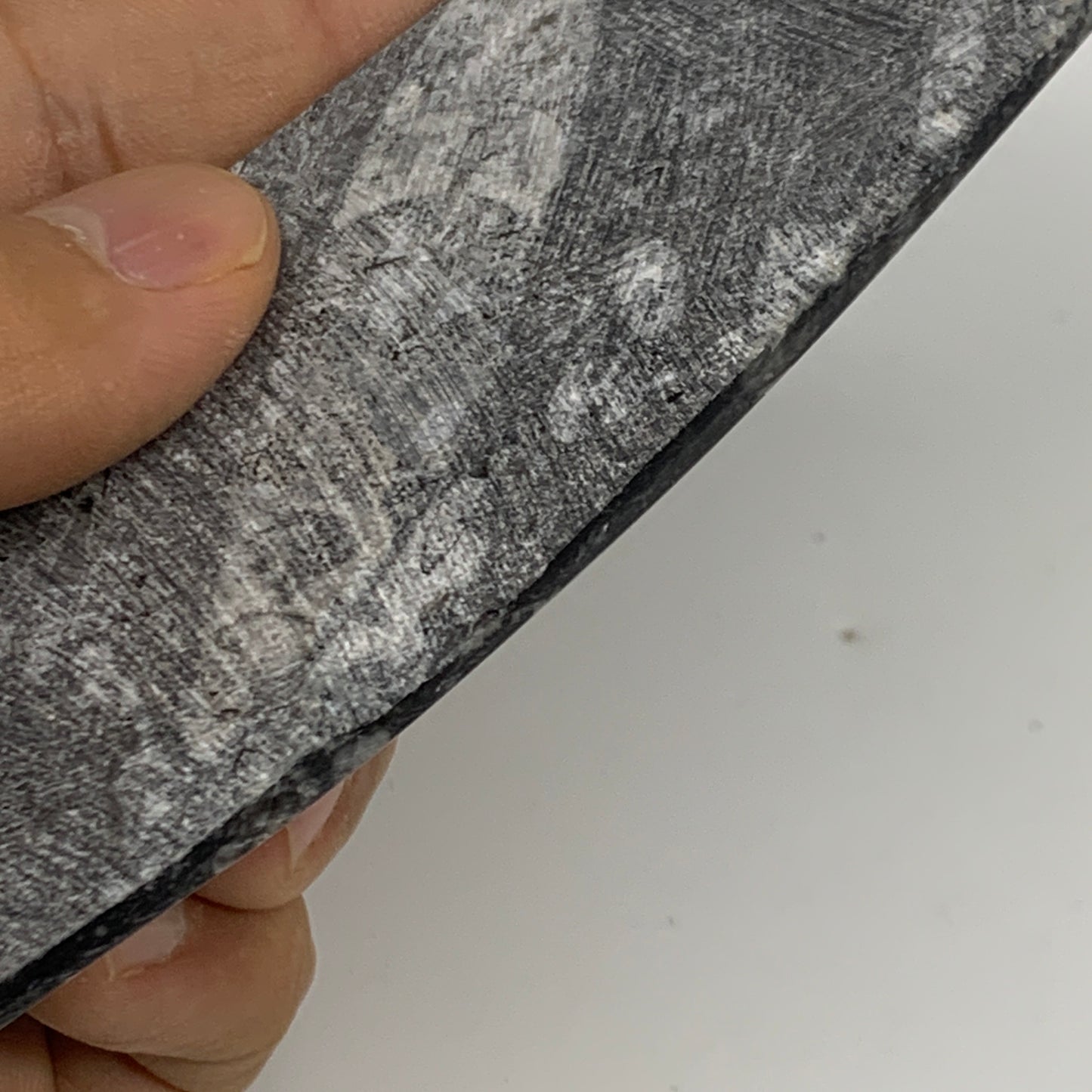 143.3g, 6.6"x1.7"x0.6" Fossils Orthoceras (straight horn) Squid @Morocco,B29960