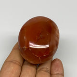 118.4g, 2.2"x1.8"x1.4", Red Carnelian Palm-Stone Gem Crystal Polished, B28420