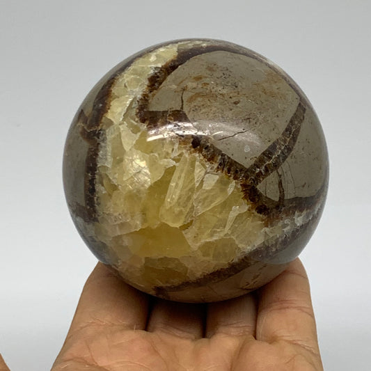 1.3 lbs, 3" (75mm), Natural Septarian Sphere Crystal Gemstone Ball, B37934