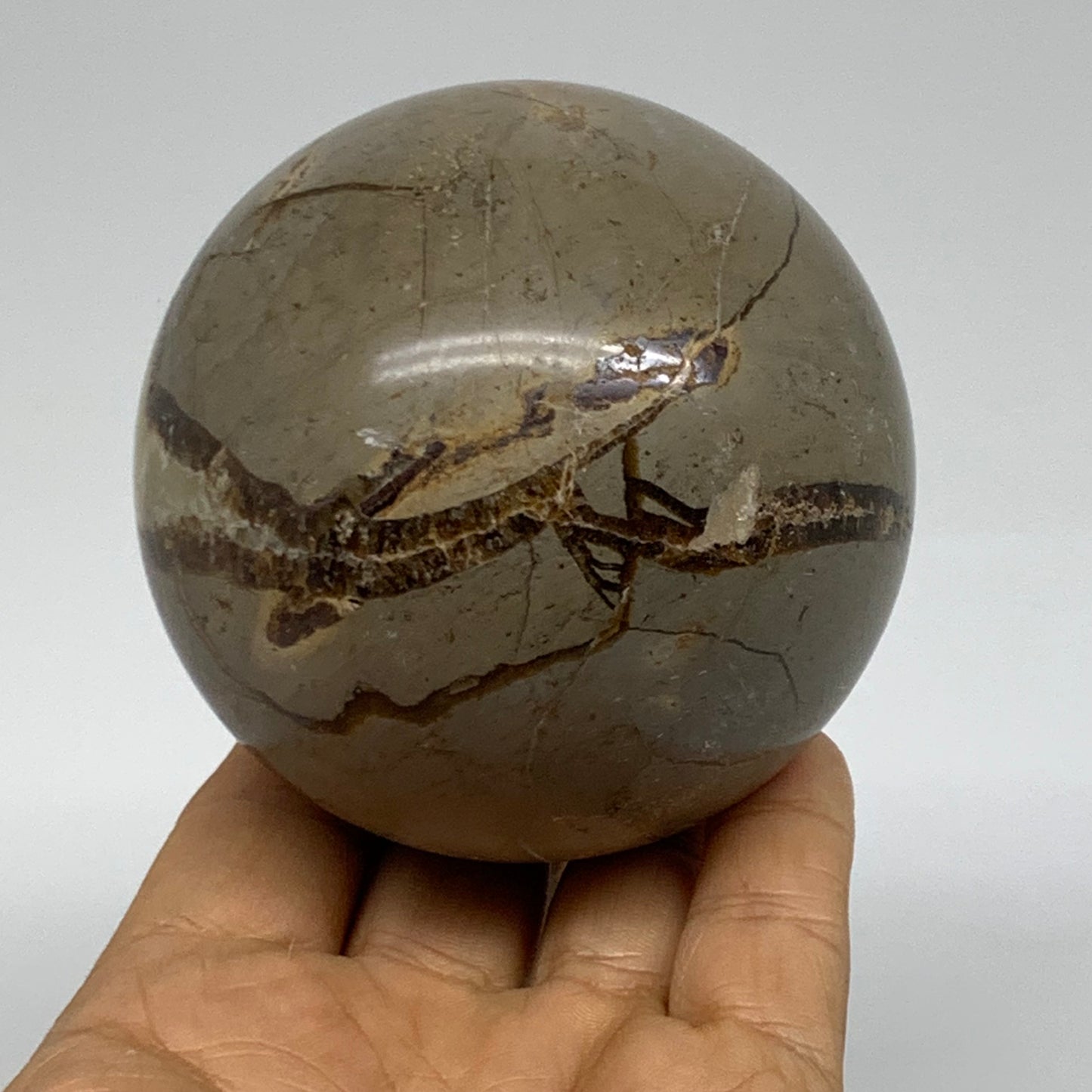 1.3 lbs, 3" (75mm), Natural Septarian Sphere Crystal Gemstone Ball, B37934