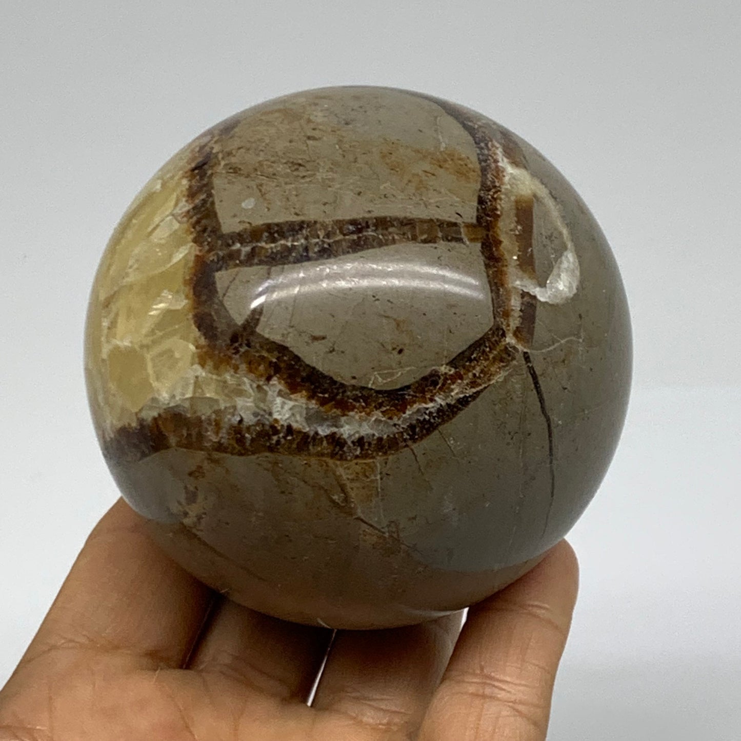 1.3 lbs, 3" (75mm), Natural Septarian Sphere Crystal Gemstone Ball, B37934