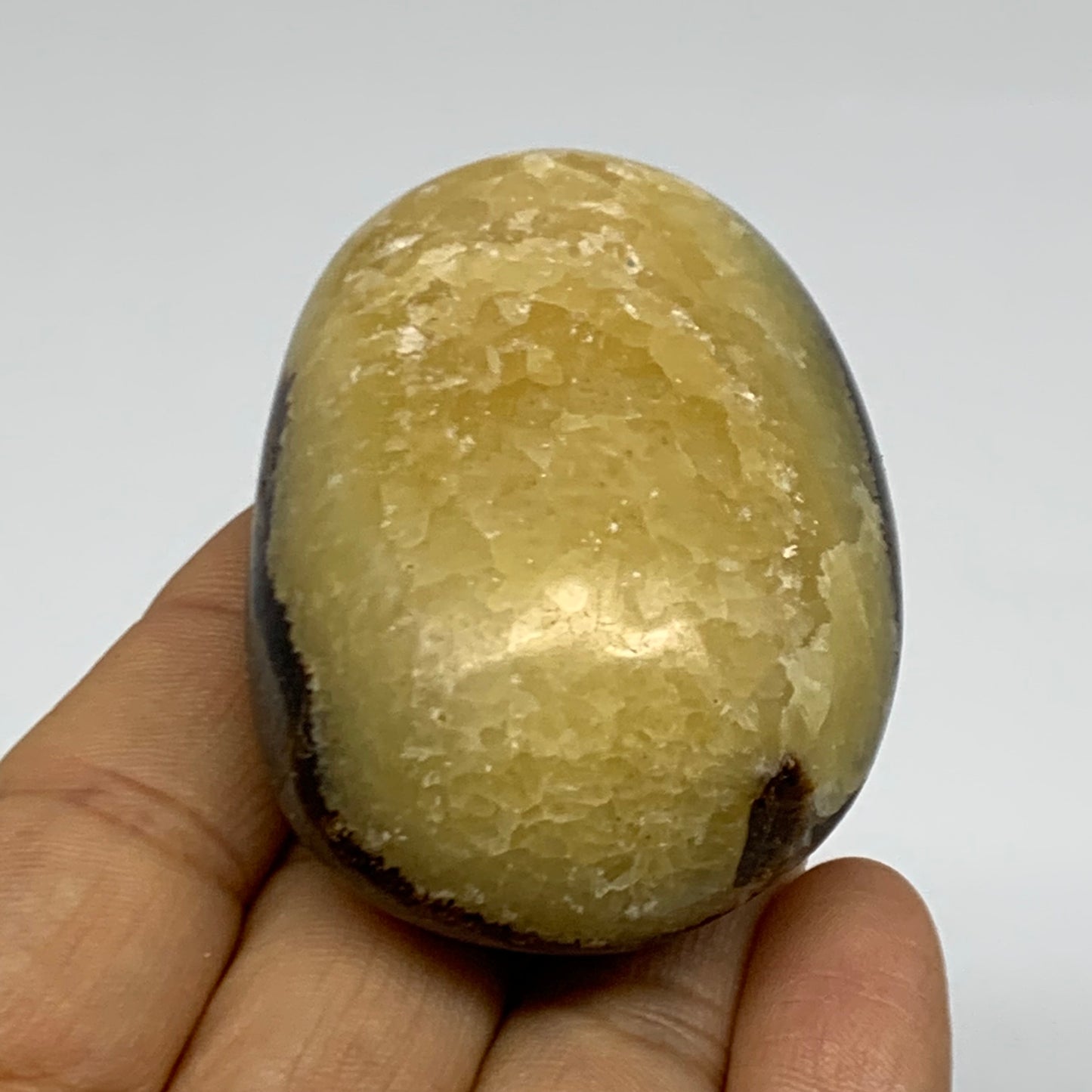 108.1g, 2.4"x1.7"x1.1", Septarian Nodule Palm-Stone Polished Crystal, B37940