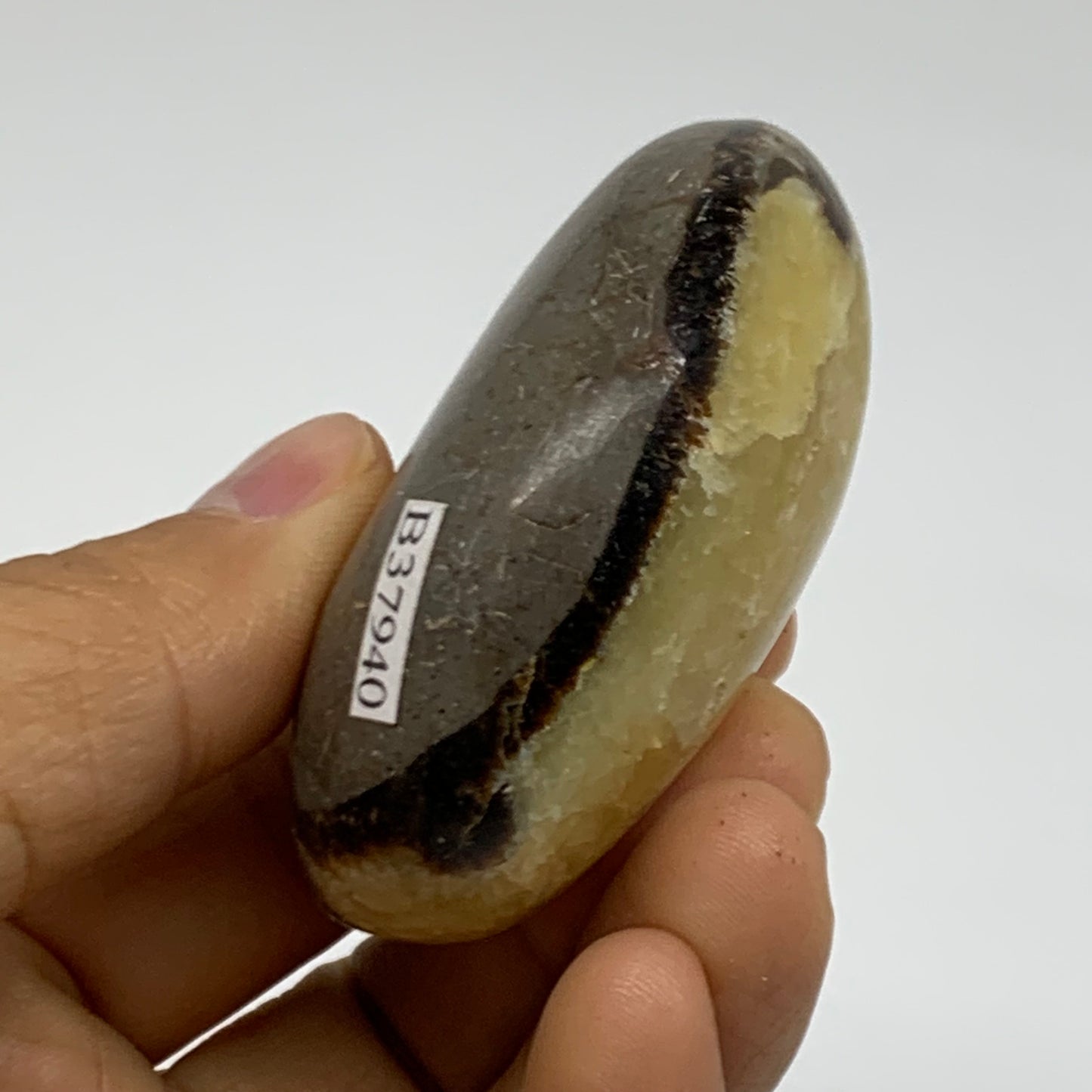 108.1g, 2.4"x1.7"x1.1", Septarian Nodule Palm-Stone Polished Crystal, B37940