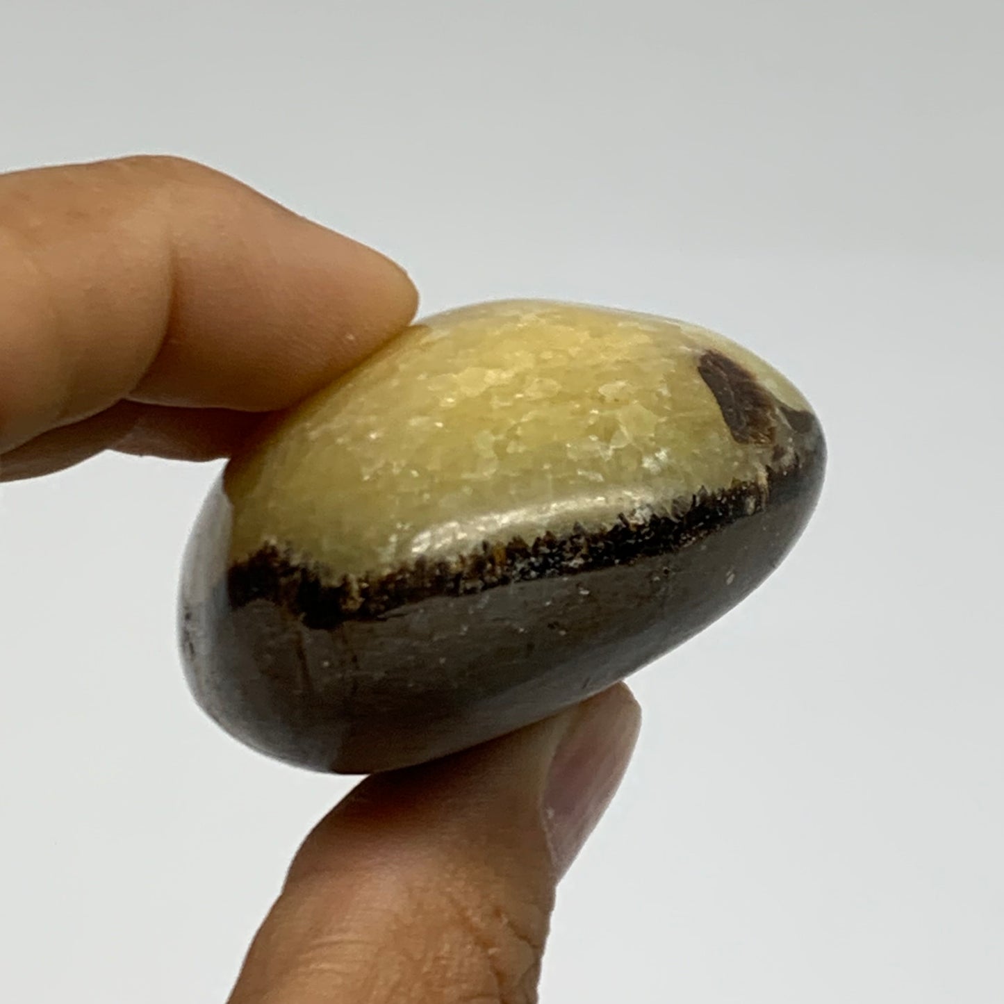 108.1g, 2.4"x1.7"x1.1", Septarian Nodule Palm-Stone Polished Crystal, B37940