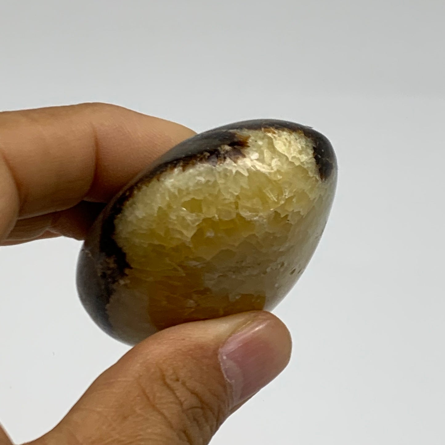 108.1g, 2.4"x1.7"x1.1", Septarian Nodule Palm-Stone Polished Crystal, B37940