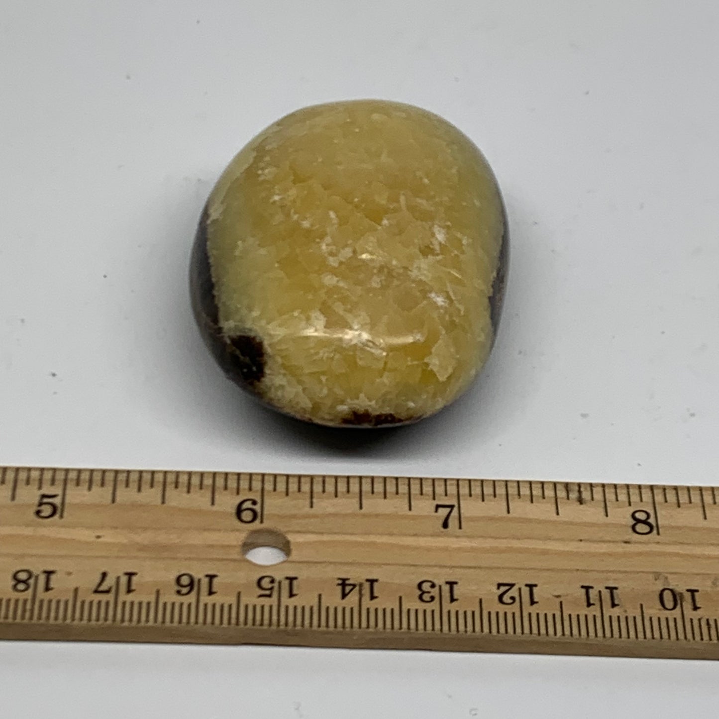 108.1g, 2.4"x1.7"x1.1", Septarian Nodule Palm-Stone Polished Crystal, B37940