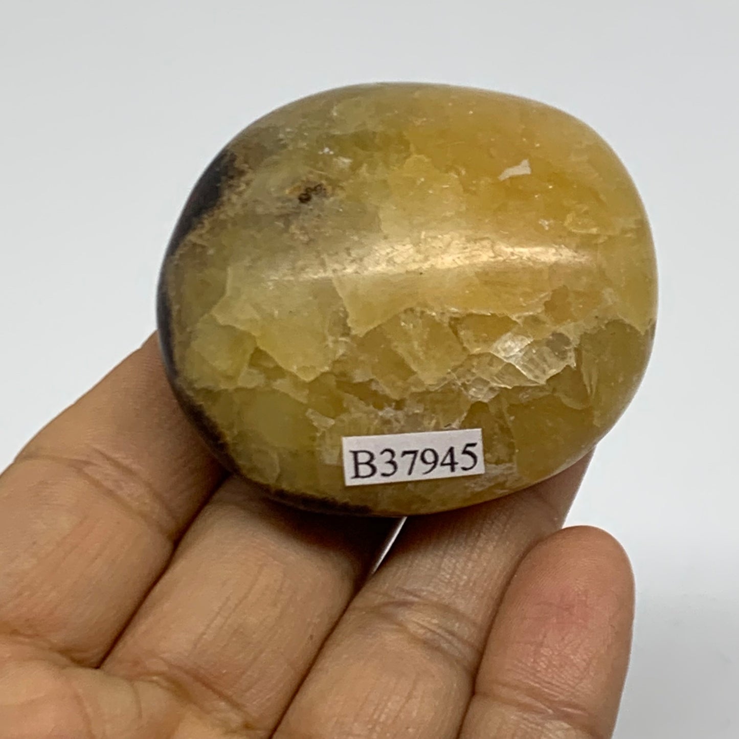 100g, 2"x2"x1.1", Septarian Nodule Palm-Stone Polished Crystal, B37945