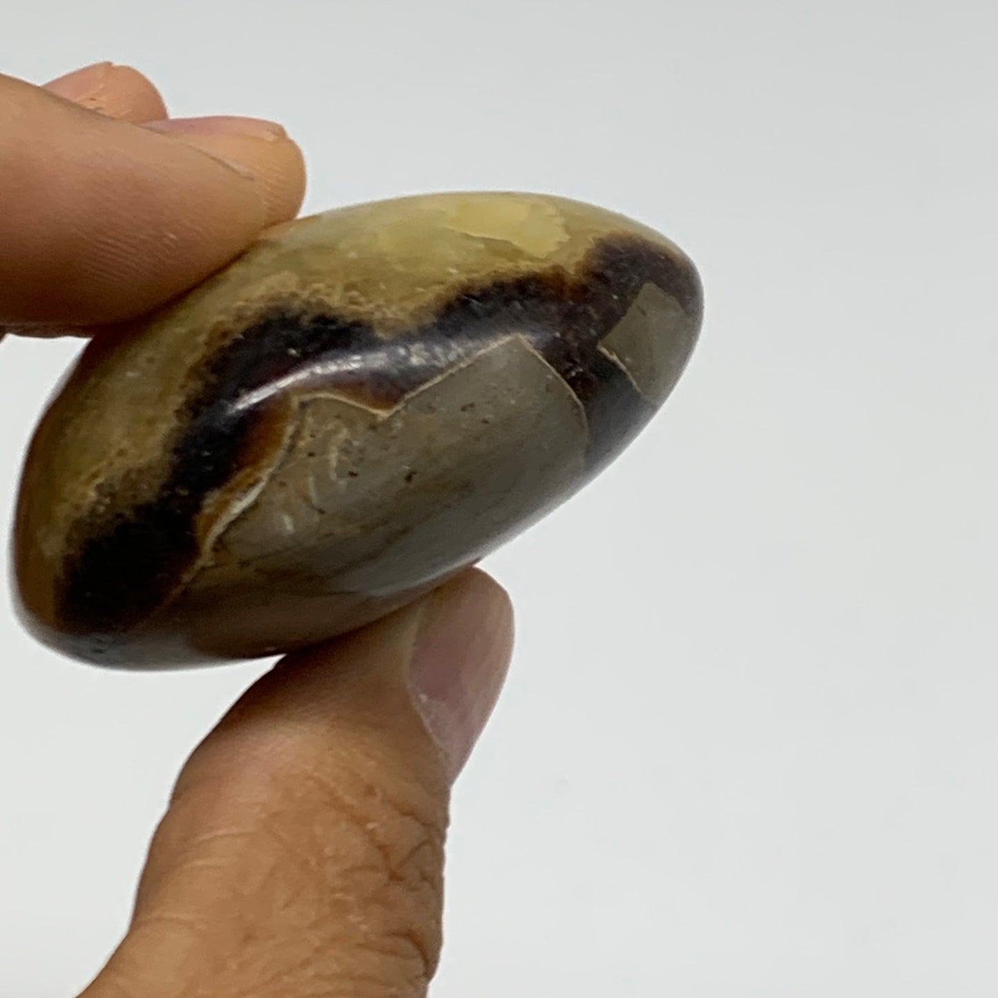 100g, 2"x2"x1.1", Septarian Nodule Palm-Stone Polished Crystal, B37945