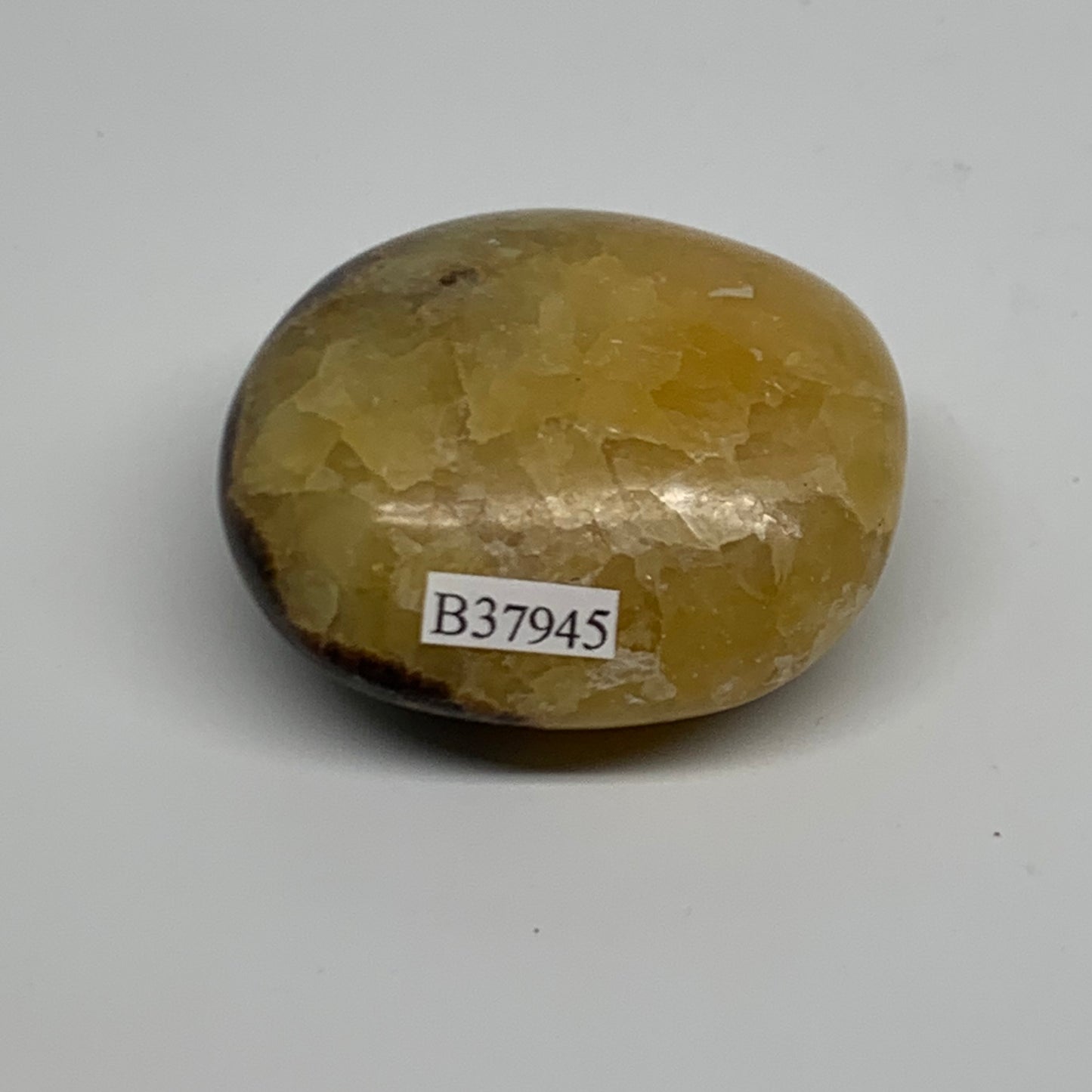 100g, 2"x2"x1.1", Septarian Nodule Palm-Stone Polished Crystal, B37945