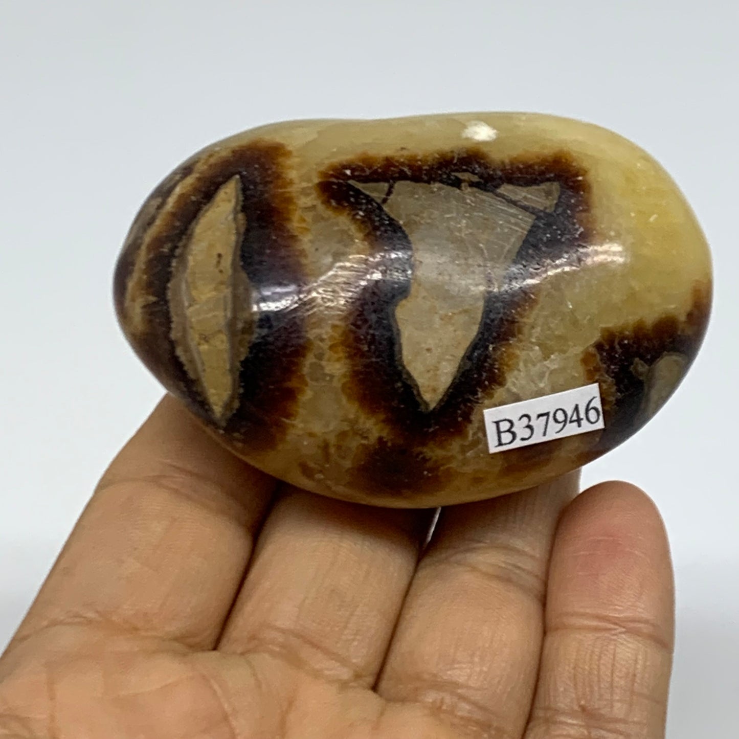 150g, 2.7"x1.9"x1.2", Septarian Nodule Palm-Stone Polished Crystal, B37946
