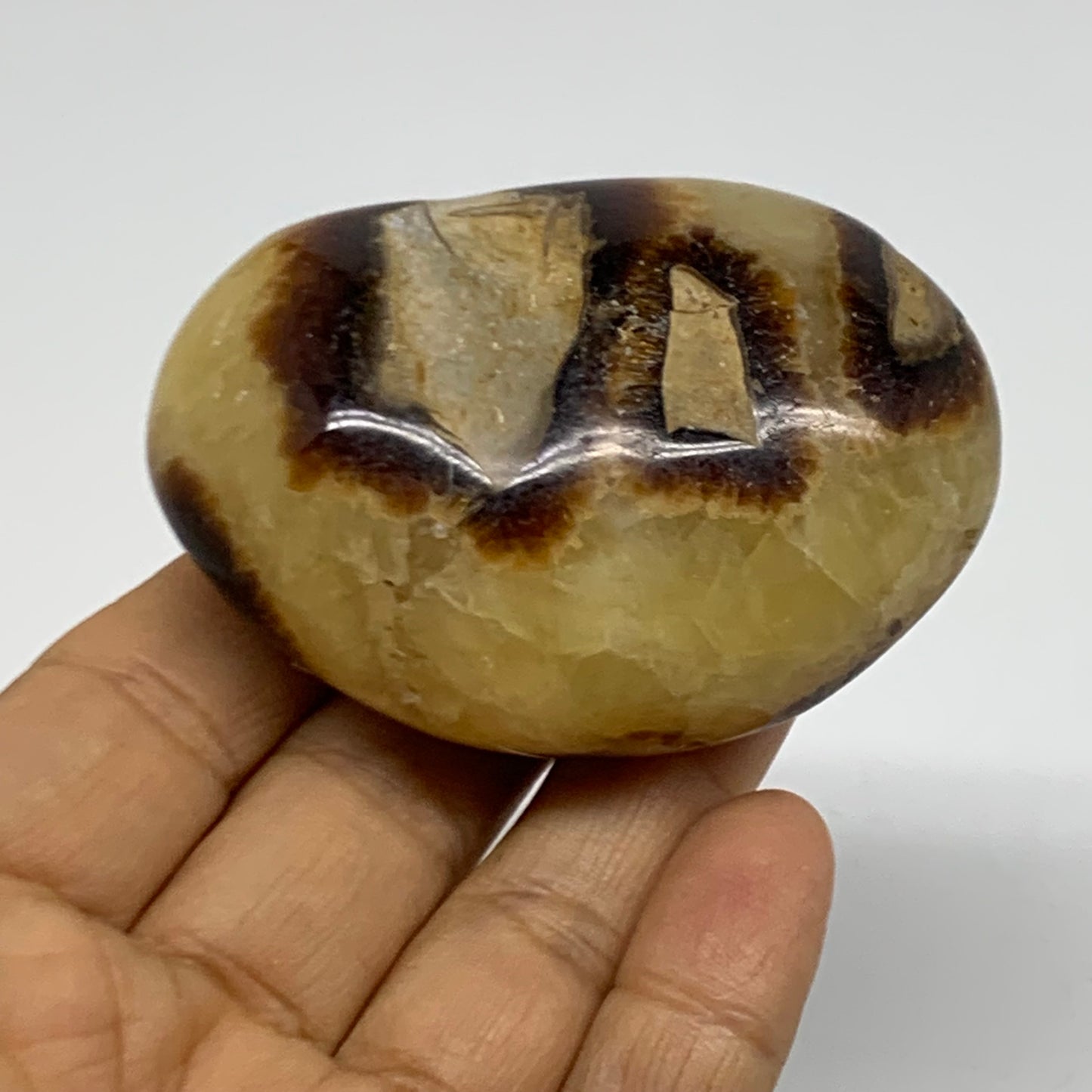 150g, 2.7"x1.9"x1.2", Septarian Nodule Palm-Stone Polished Crystal, B37946