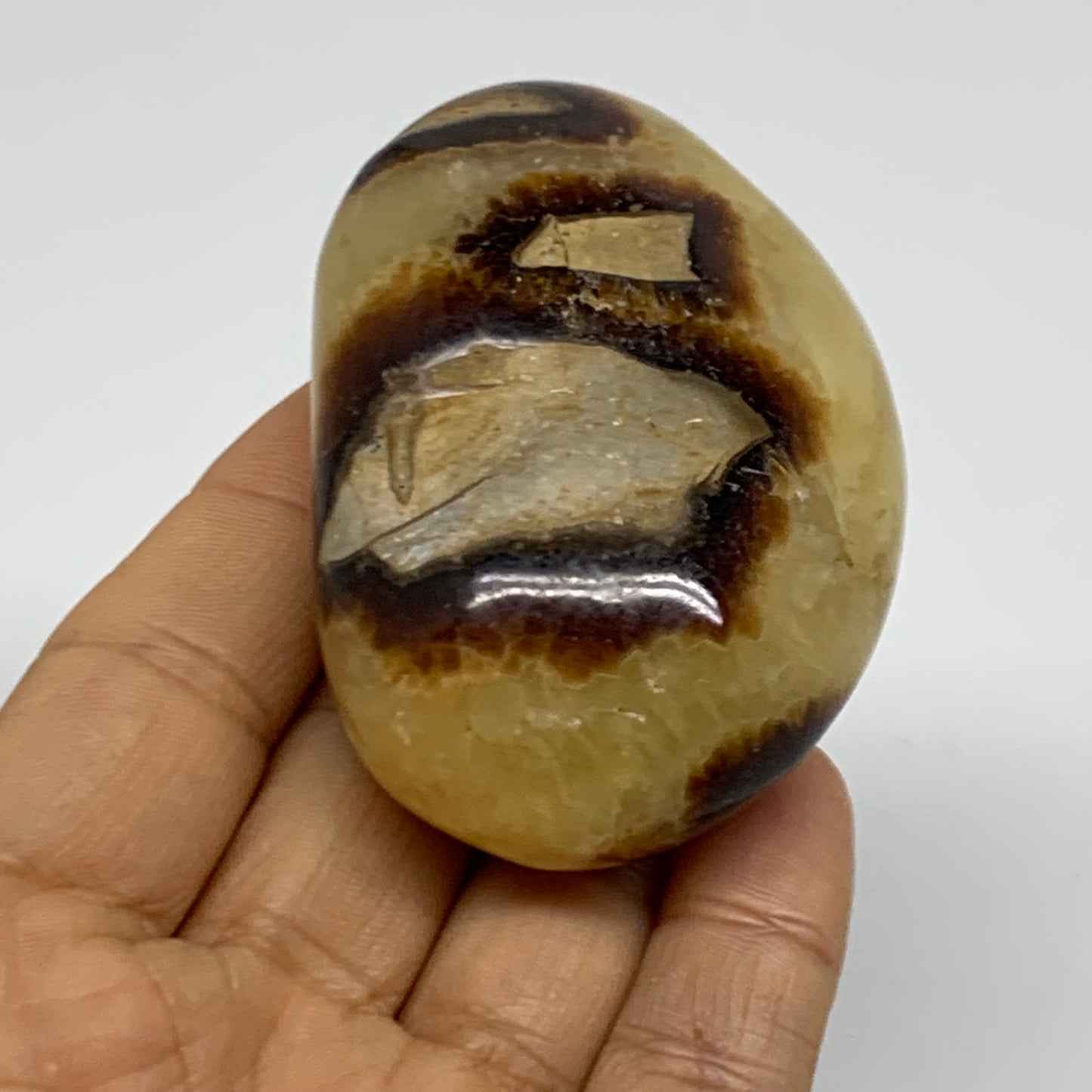 150g, 2.7"x1.9"x1.2", Septarian Nodule Palm-Stone Polished Crystal, B37946