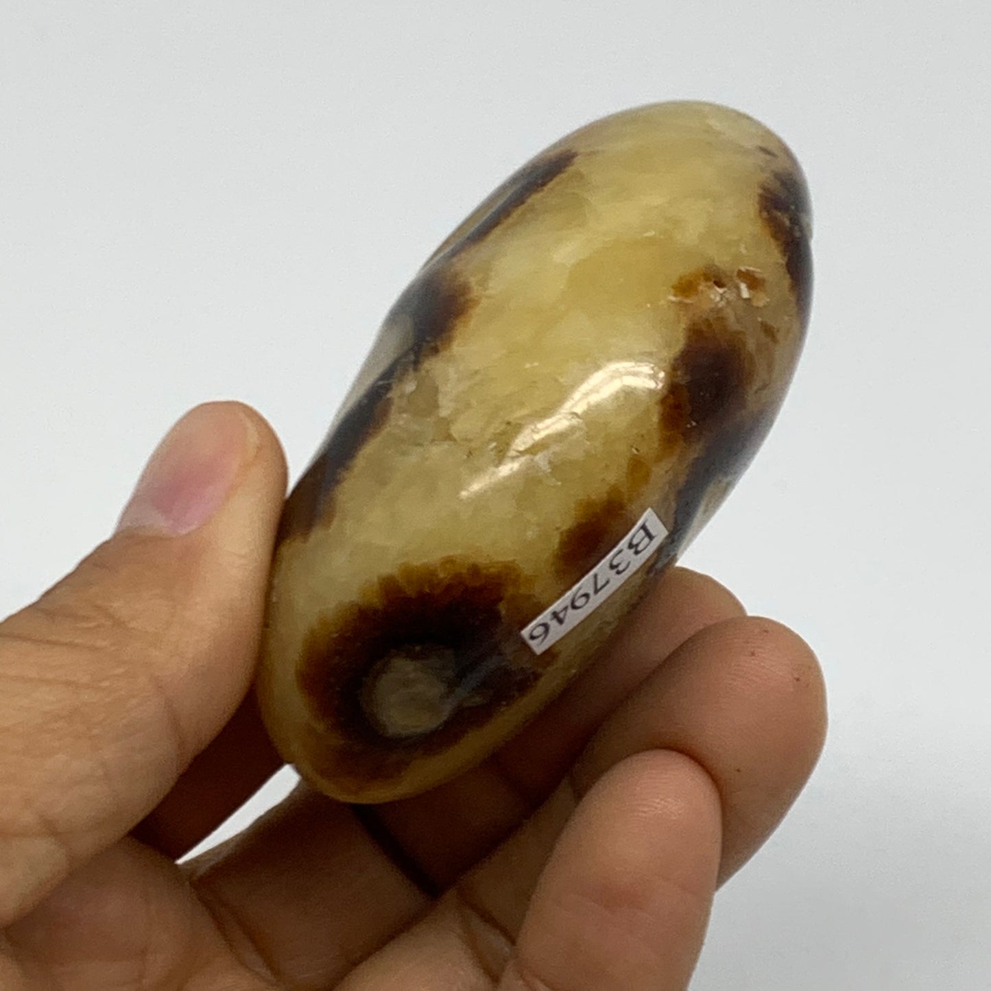 150g, 2.7"x1.9"x1.2", Septarian Nodule Palm-Stone Polished Crystal, B37946