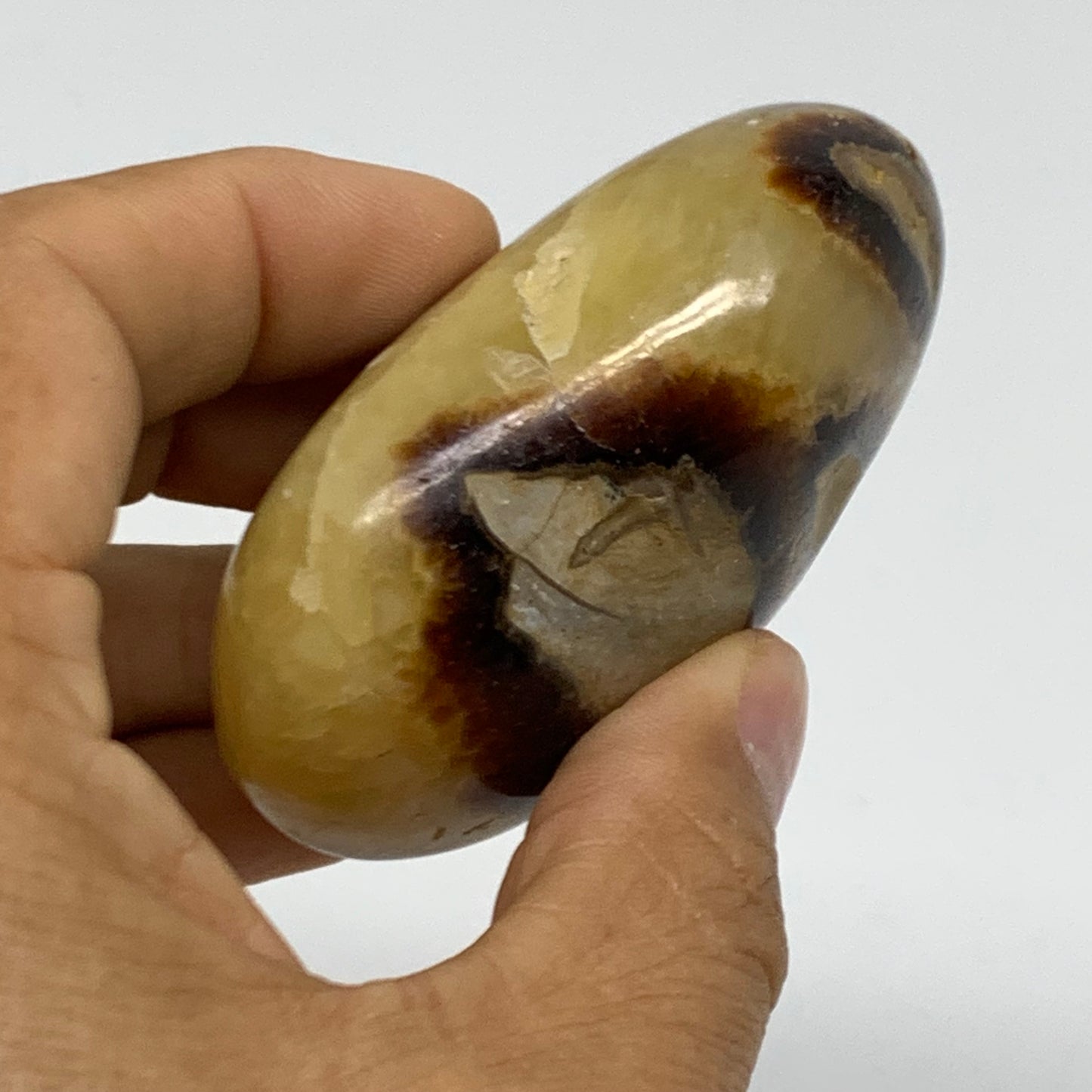 150g, 2.7"x1.9"x1.2", Septarian Nodule Palm-Stone Polished Crystal, B37946