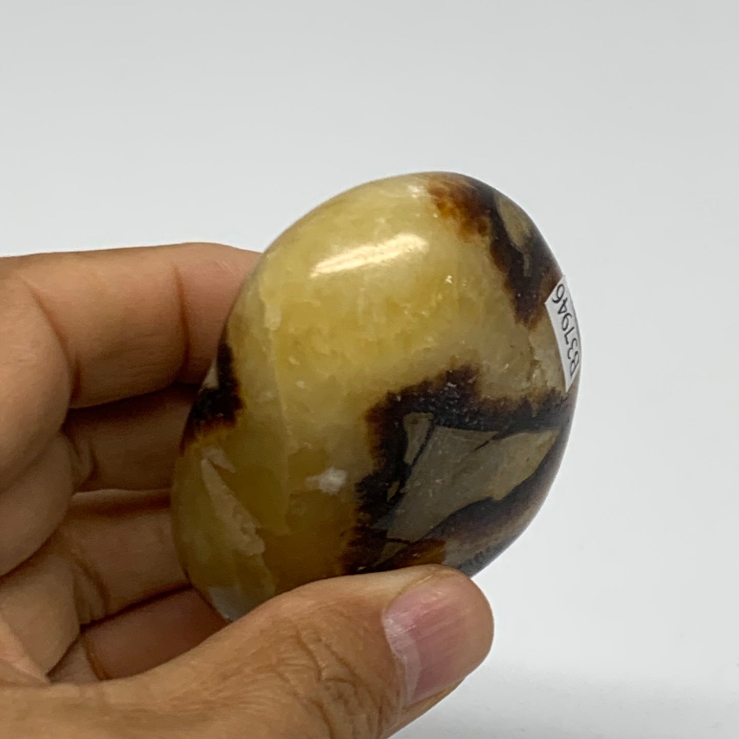 150g, 2.7"x1.9"x1.2", Septarian Nodule Palm-Stone Polished Crystal, B37946