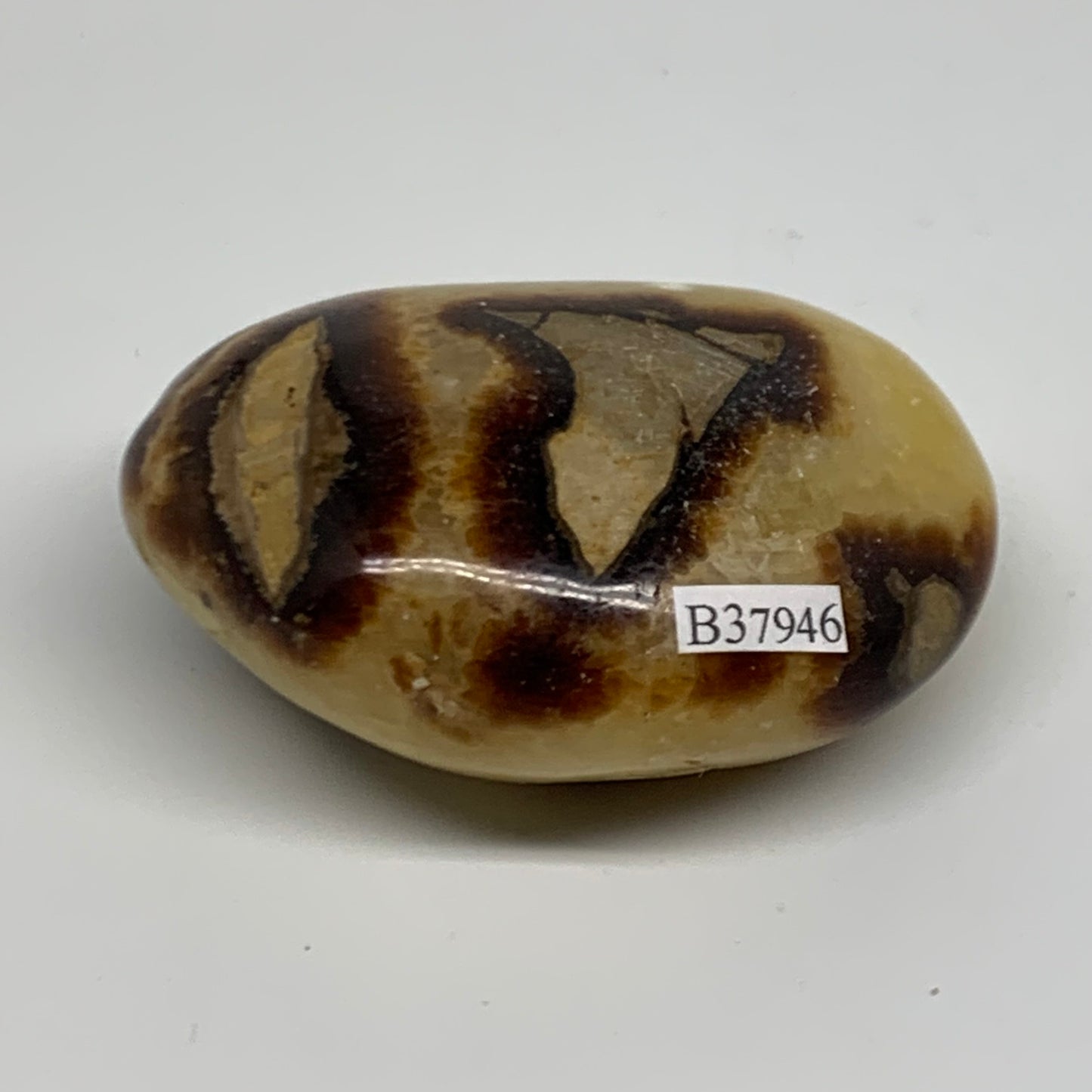 150g, 2.7"x1.9"x1.2", Septarian Nodule Palm-Stone Polished Crystal, B37946