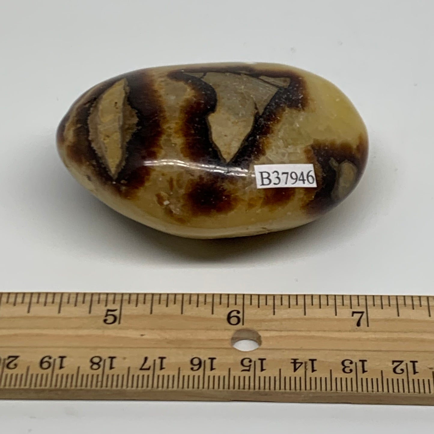 150g, 2.7"x1.9"x1.2", Septarian Nodule Palm-Stone Polished Crystal, B37946