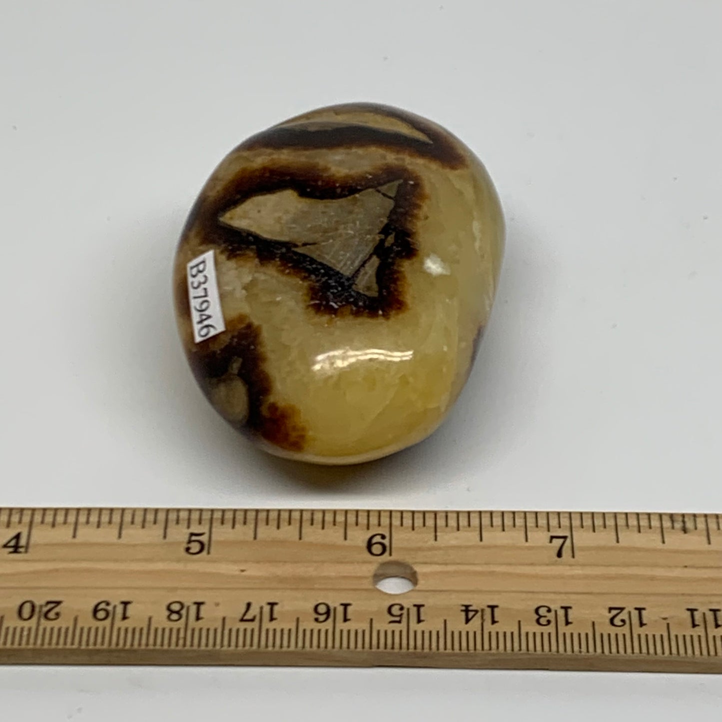 150g, 2.7"x1.9"x1.2", Septarian Nodule Palm-Stone Polished Crystal, B37946