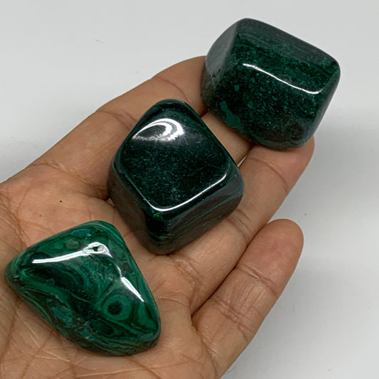 167.3g, 1.2"-1.6", 3pcs, Natural Small Malachite Tumbled Polished, B32816