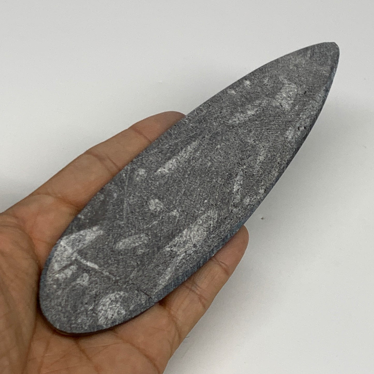 117.4g,6.6"x1.7"x0.5" Fossils Orthoceras (straight horn) Squid @Morocco,B29976