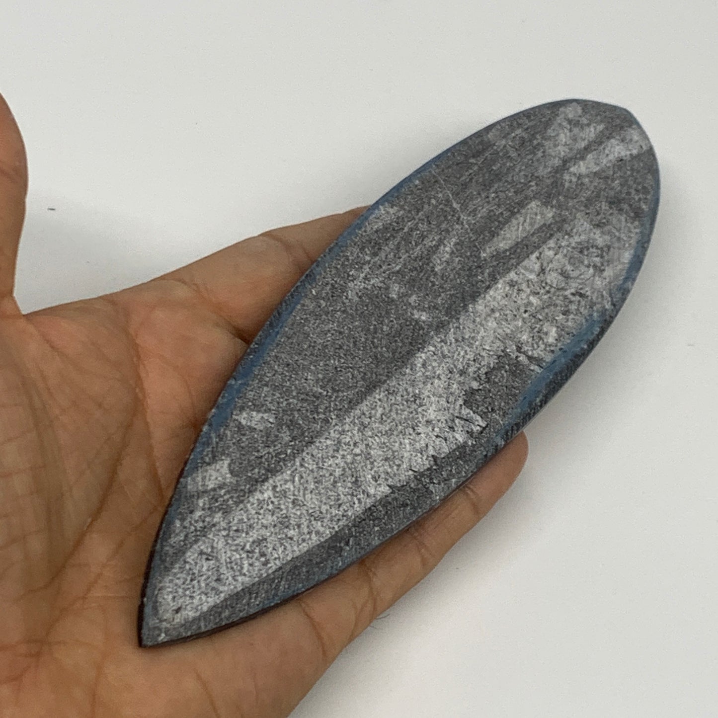 141.6g,5.6"x2"x0.5" Fossils Orthoceras (straight horn) Squid @Morocco,B29977