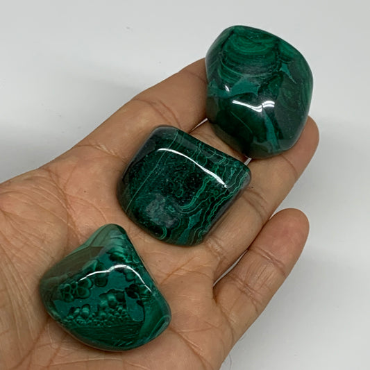 166g, 1.3"-1.3", 3pcs, Natural Small Malachite Tumbled Polished, B32818