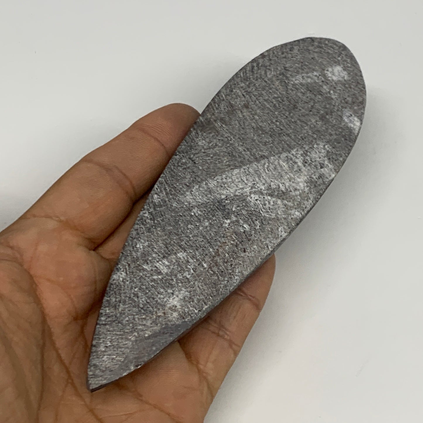 123.4g,5.8"x1.7"x0.6" Fossils Orthoceras (straight horn) Squid @Morocco,B29979