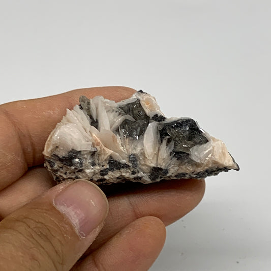 65.5g, 2.2"x1.1"x0.7", Cerussite on Galena Barite Quartz Mineral Specimen, B33483