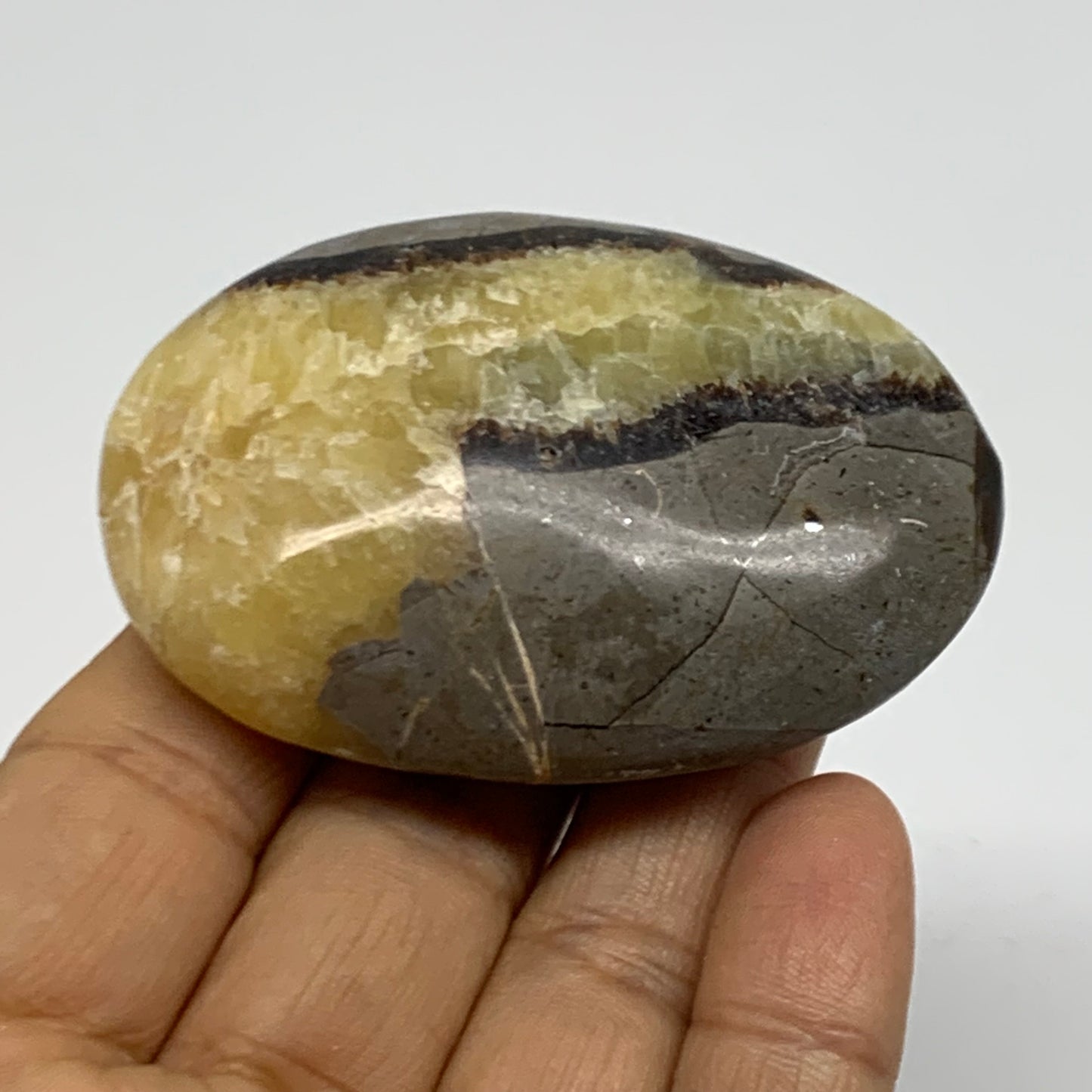 87.1g, 2.6"x1.8"x0.9", Septarian Nodule Palm-Stone Polished Crystal, B37952