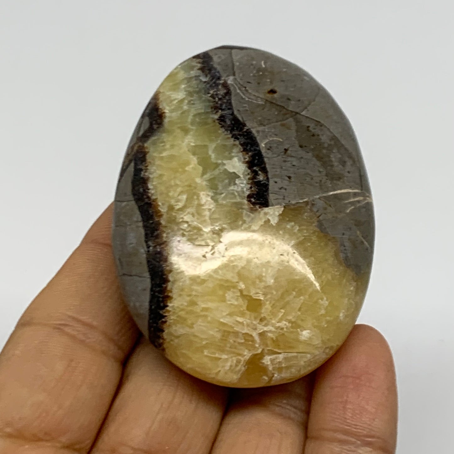 87.1g, 2.6"x1.8"x0.9", Septarian Nodule Palm-Stone Polished Crystal, B37952