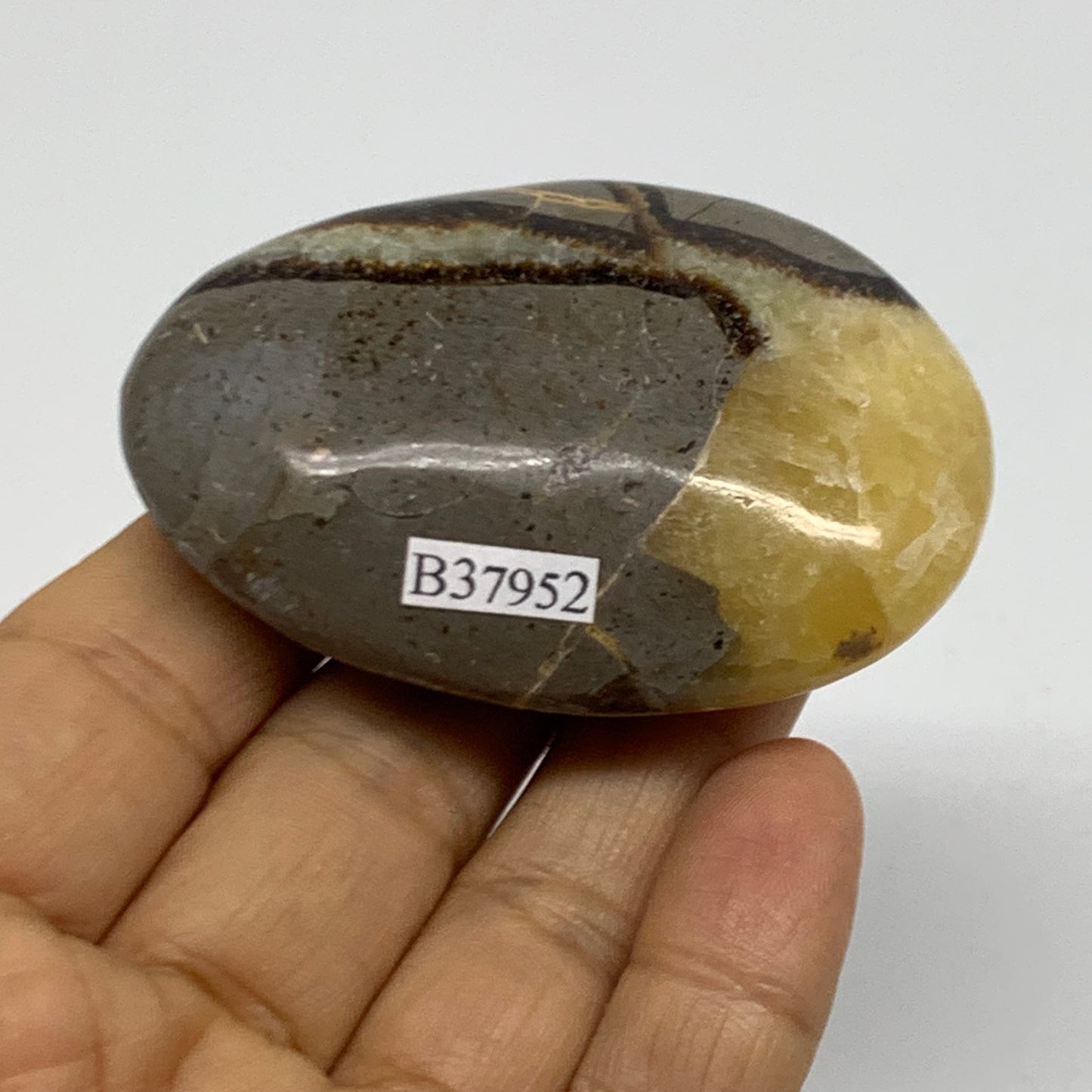 87.1g, 2.6"x1.8"x0.9", Septarian Nodule Palm-Stone Polished Crystal, B37952