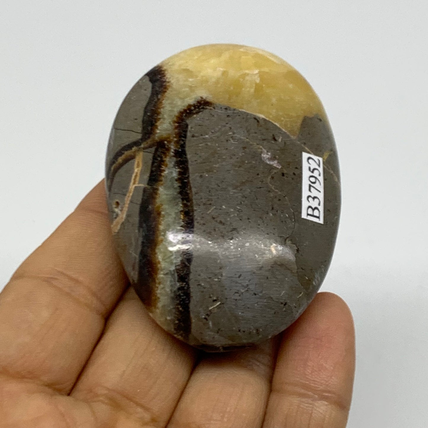 87.1g, 2.6"x1.8"x0.9", Septarian Nodule Palm-Stone Polished Crystal, B37952