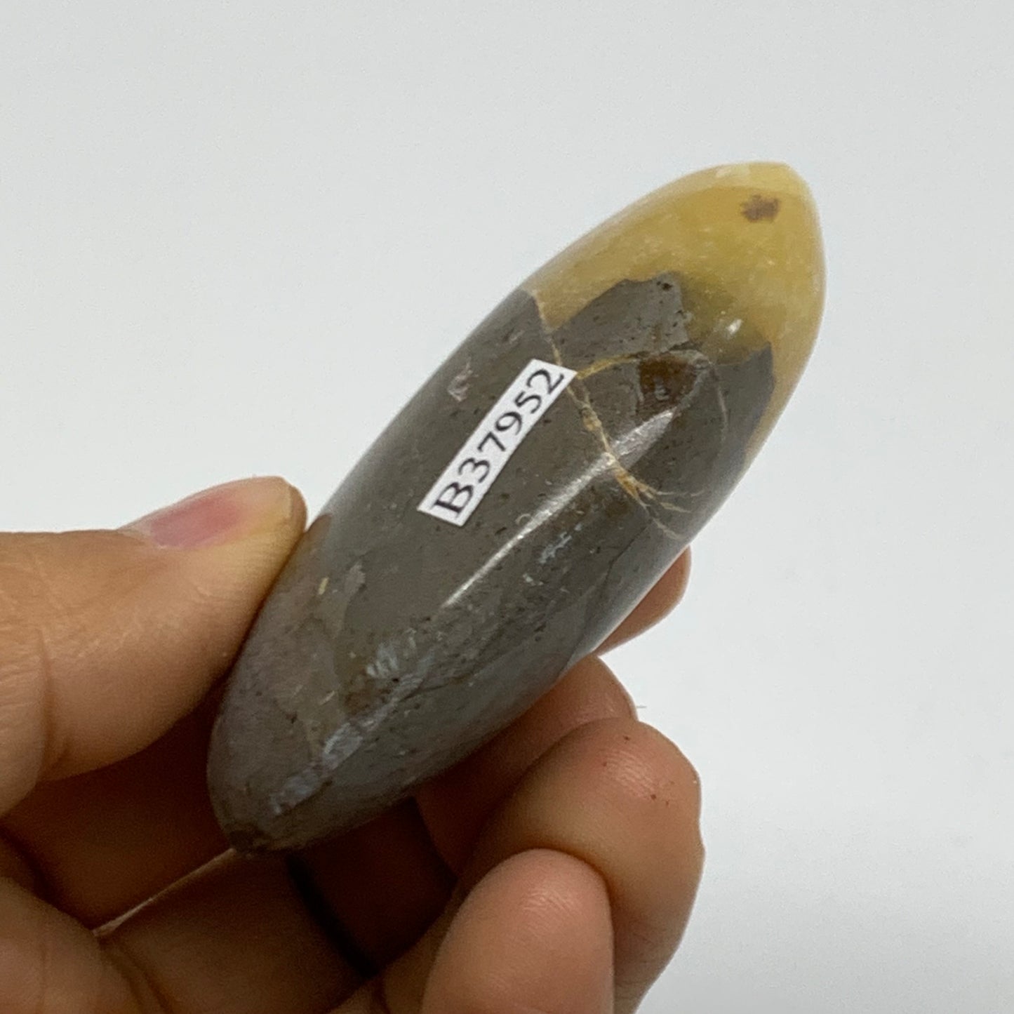 87.1g, 2.6"x1.8"x0.9", Septarian Nodule Palm-Stone Polished Crystal, B37952