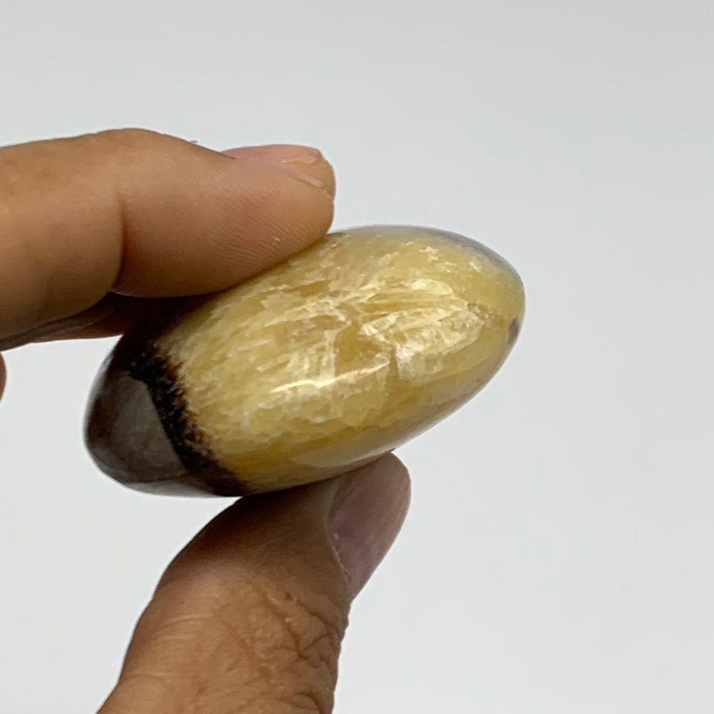 87.1g, 2.6"x1.8"x0.9", Septarian Nodule Palm-Stone Polished Crystal, B37952