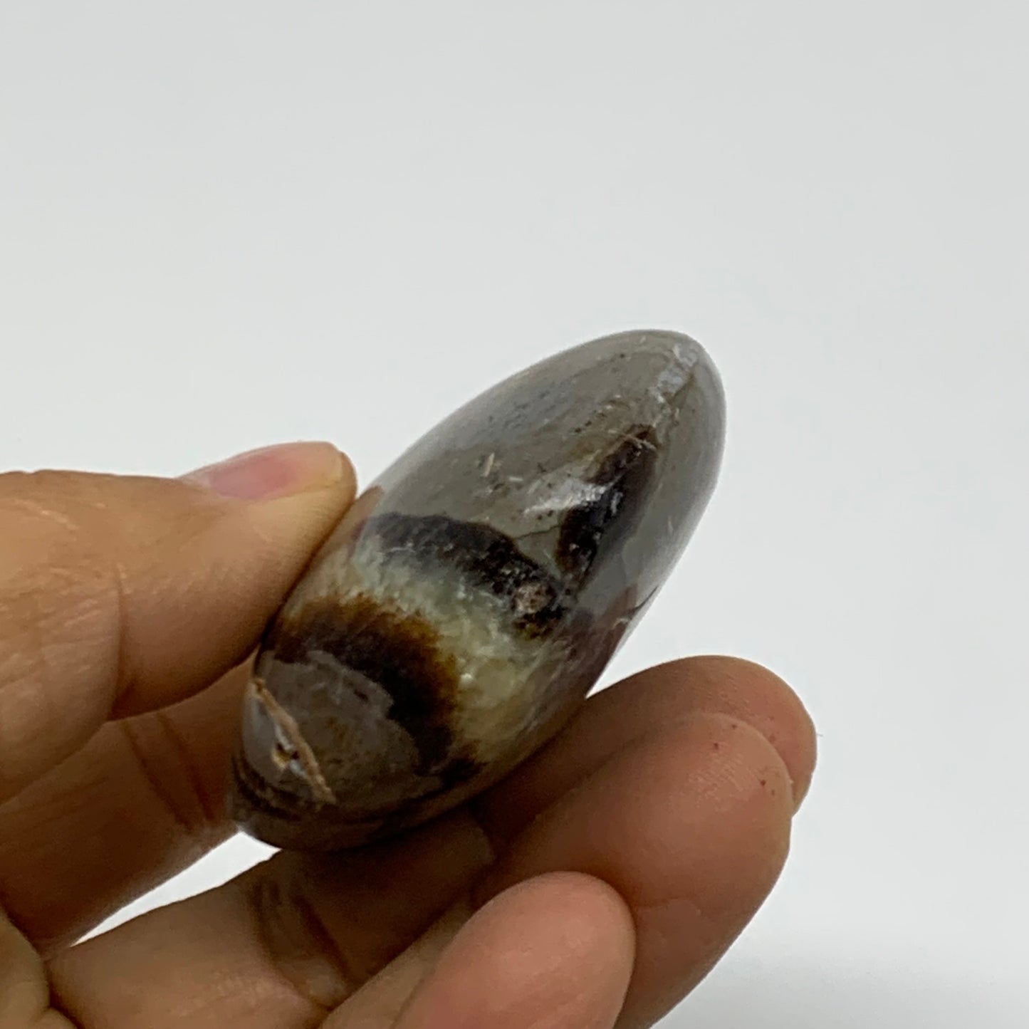 87.1g, 2.6"x1.8"x0.9", Septarian Nodule Palm-Stone Polished Crystal, B37952