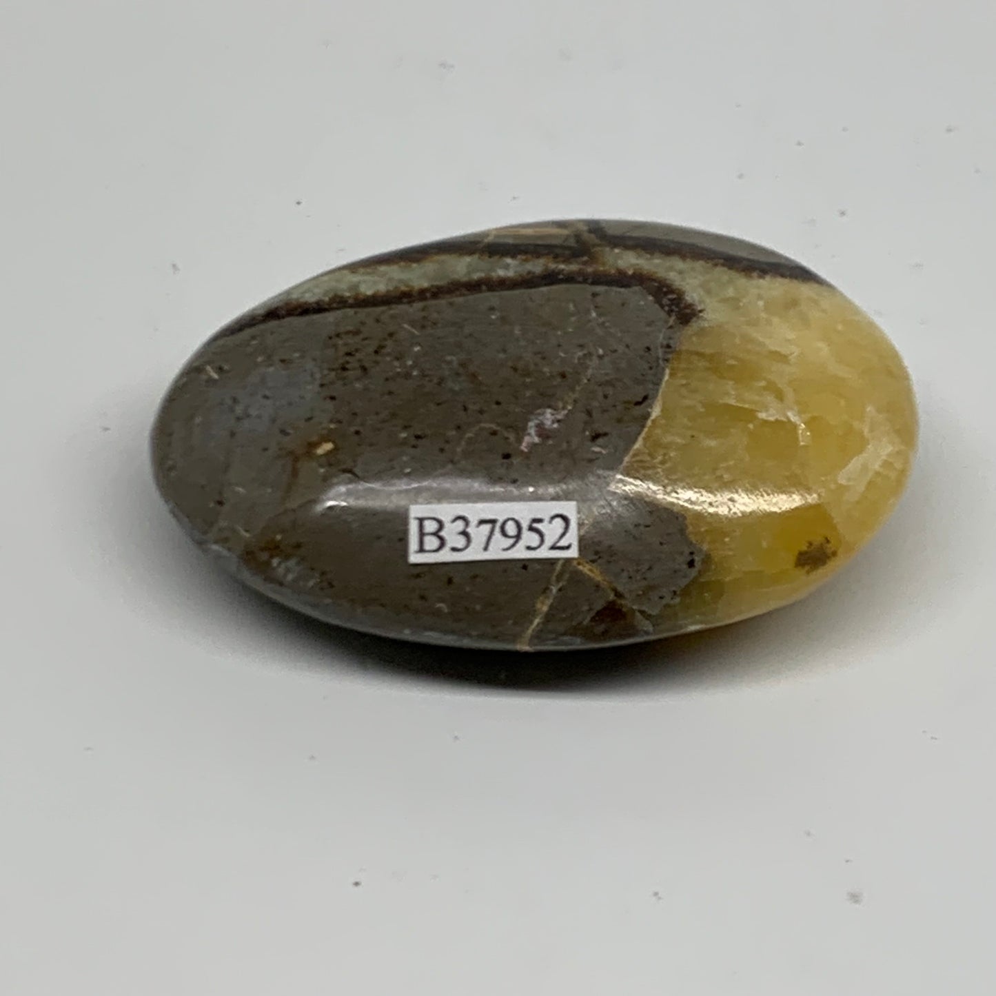 87.1g, 2.6"x1.8"x0.9", Septarian Nodule Palm-Stone Polished Crystal, B37952