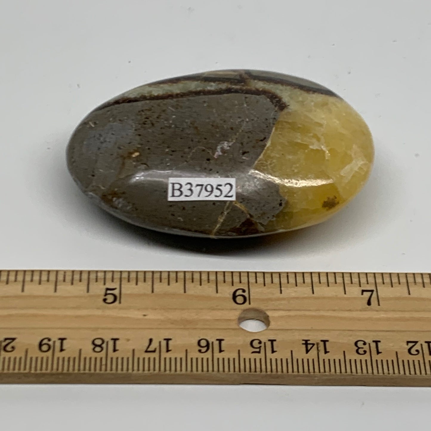 87.1g, 2.6"x1.8"x0.9", Septarian Nodule Palm-Stone Polished Crystal, B37952