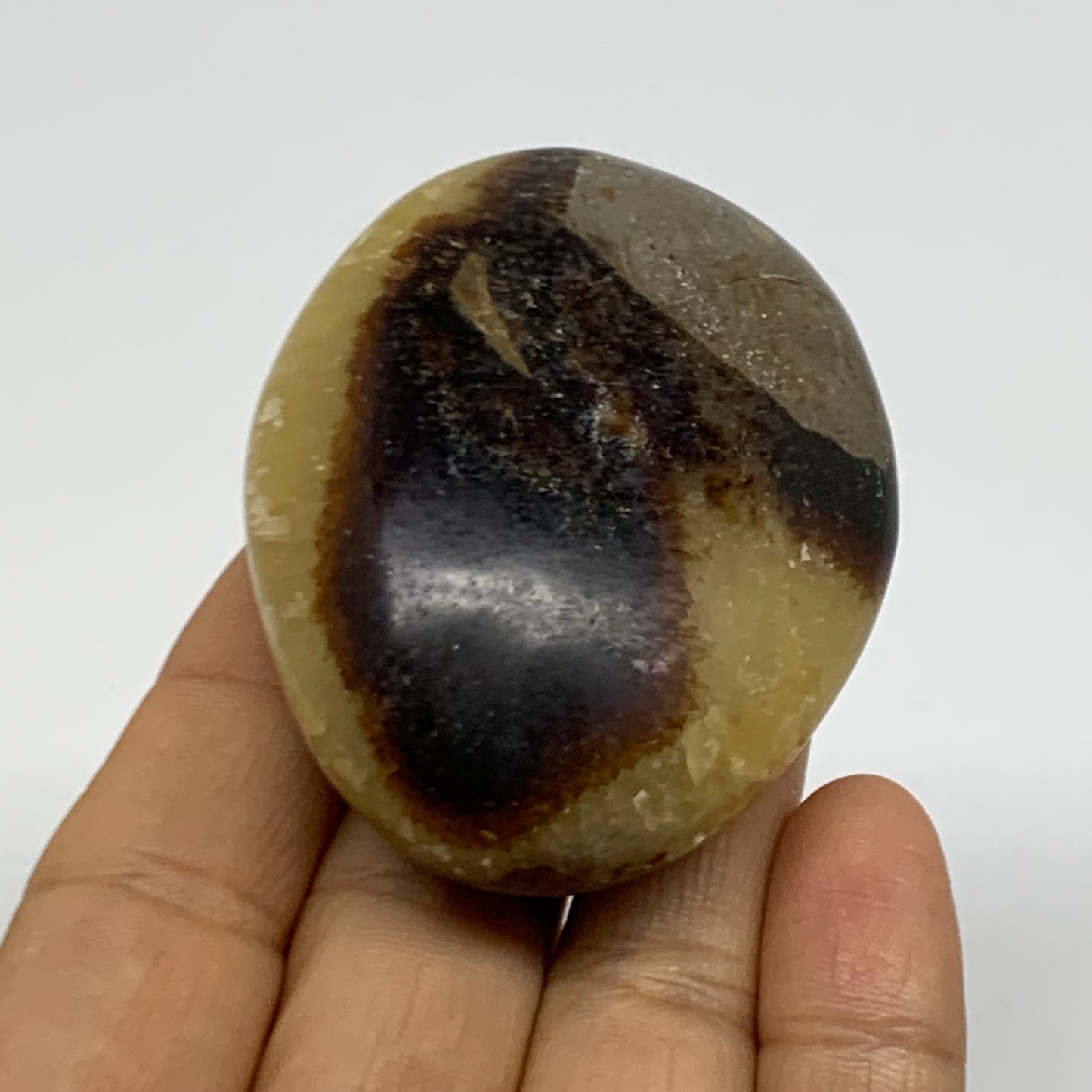 95.1g, 2.3x1.9"x1", Septarian Nodule Palm-Stone Polished Crystal, B37953