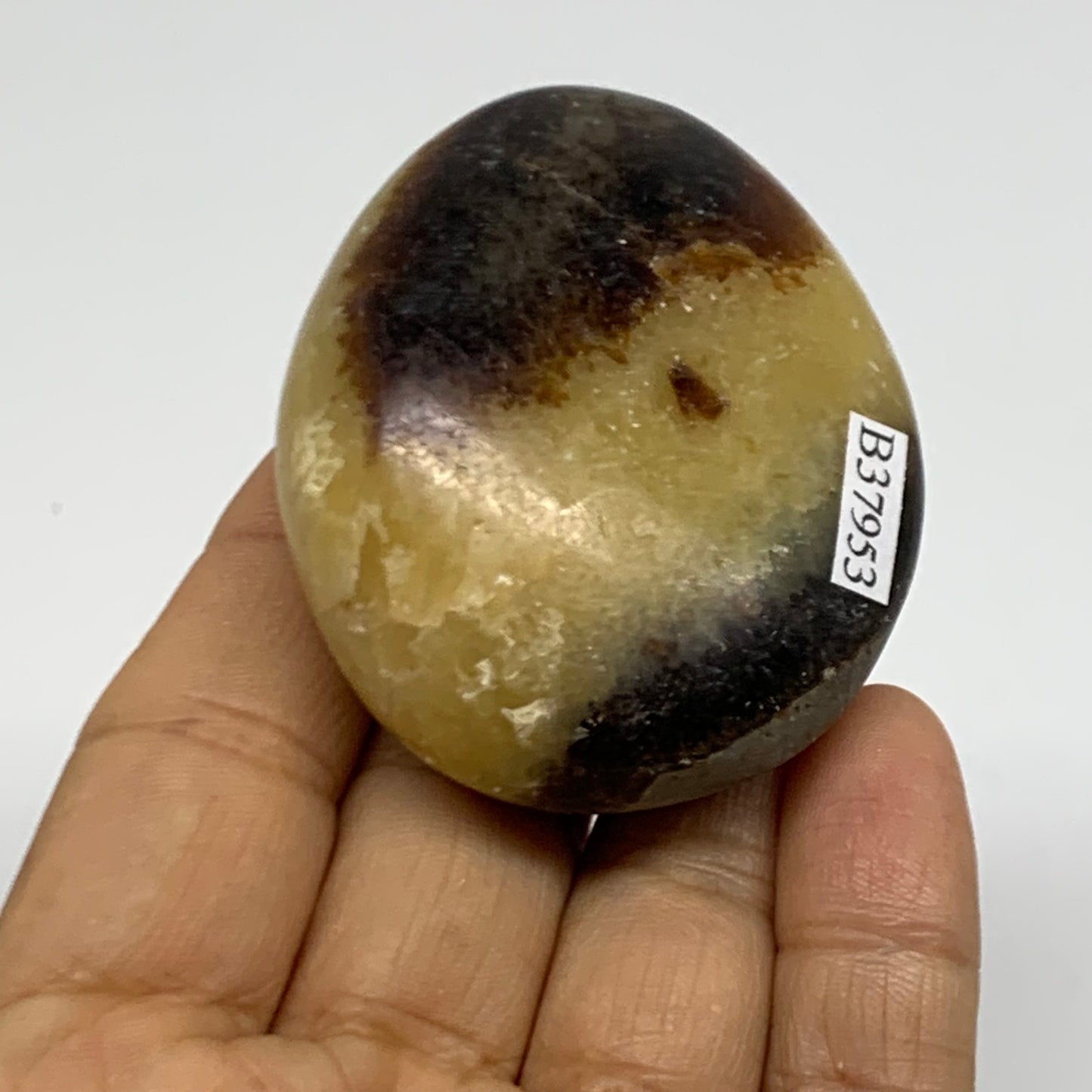 95.1g, 2.3x1.9"x1", Septarian Nodule Palm-Stone Polished Crystal, B37953